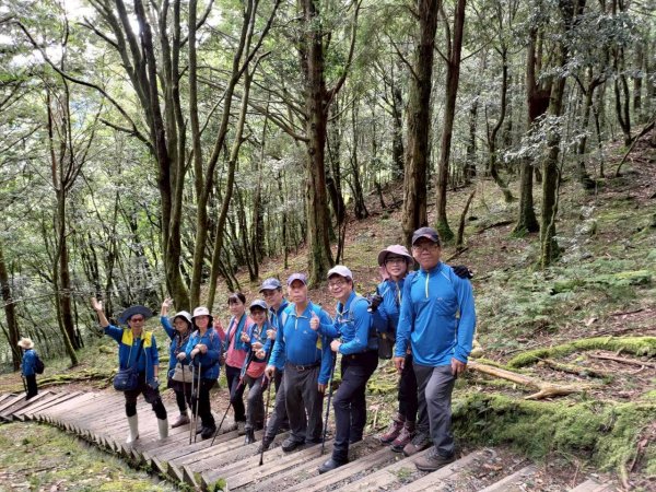觀霧-檜山巨木群步道2925547