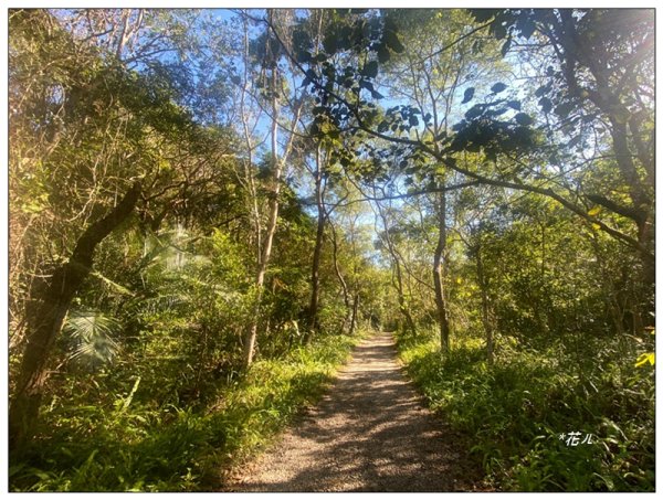 虎山、水雲三星之首 ( 苗栗、泰安 )2977369