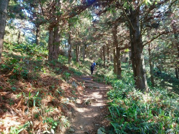 鳶嘴西稜 長壽山 醜崠山來回894700