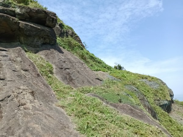 瑞芳區海園古道+鼻頭山稜+門牙岩O型2768351