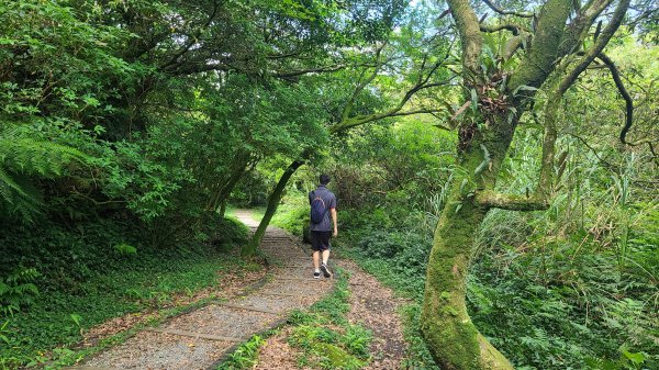 2022-0605 苗冷古道-七星公園-冷水坑-冷擎步道1727660