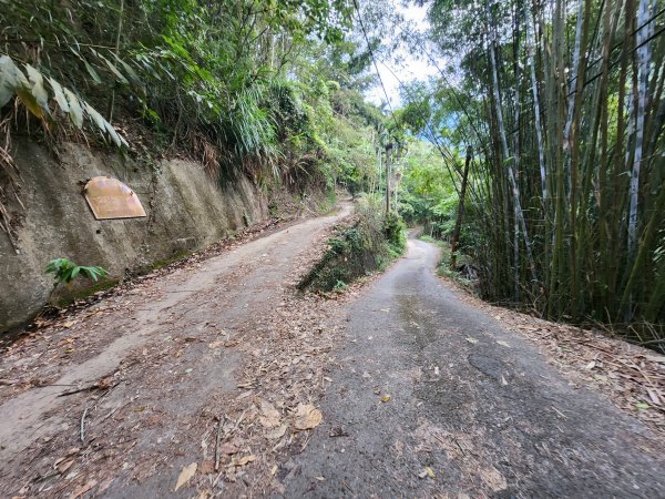 20241222二載山與大橫屏山南峰(追加鹽菜甕山、鹽菜甕下山)2721485