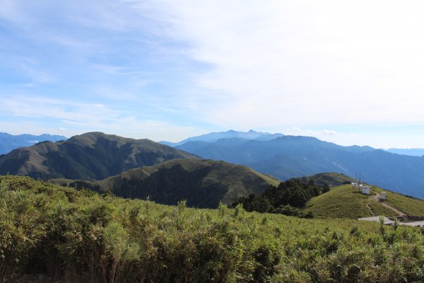 20200625南投合歡主峰1020316