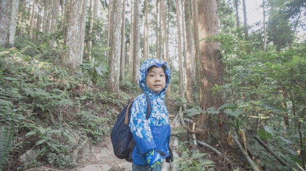 四歲小樂的第十座小百岳-加里山1012672