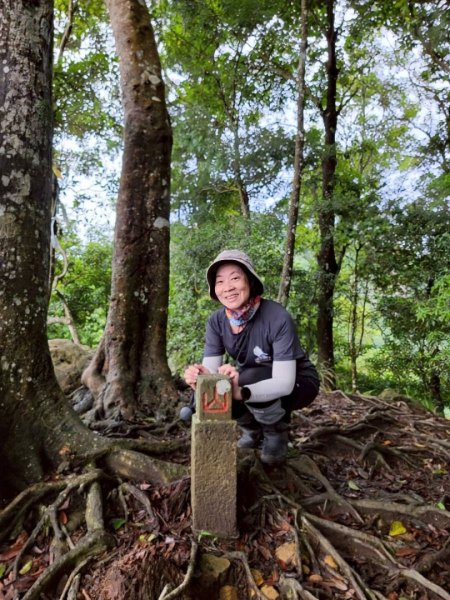 鵝公髻山採桃趣-202505302865295