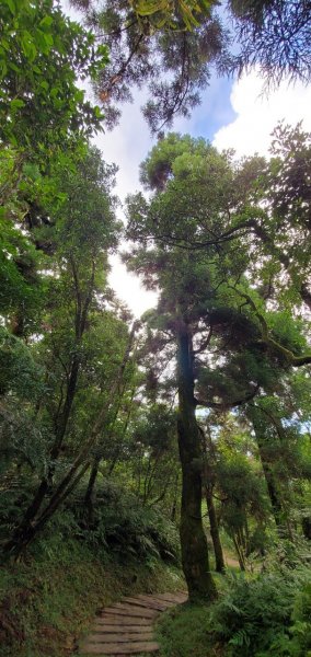 2021-10/10-基隆七堵-姜子寮山1485749