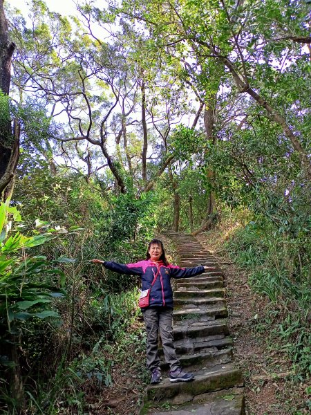 【臺北大縱走5】鄭成功廟步道→碧山巖  1242273