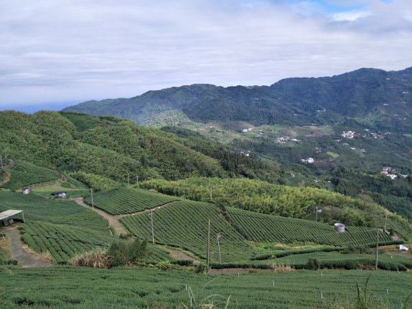 篤鼻山、出水坑步道202105051419587