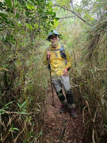 北一段(10/14)馬比杉山 2025_0906~132887117