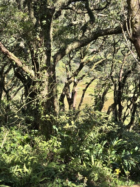 面天山、向天山、向天池2921034