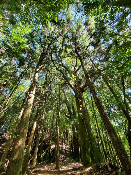 新山馬崙山八壯士登山口1161995