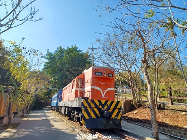 【苗栗】貓貍山公園功維敘隧道2981678