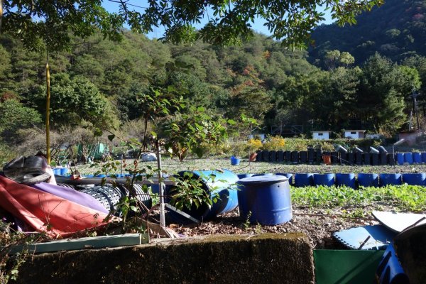 110.12.12馬崙山（海拔2305m）1551459