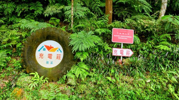 桶後越嶺古道2876918