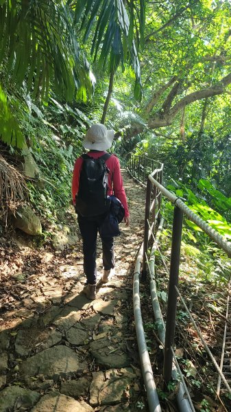 2025-0130溪和宮-大崎頭步道-鵝尾山-平溪步道-鵝尾山水田-42巷-溪山百年古圳-平菁步道2701973