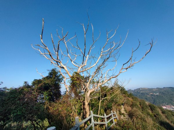 太平老街，大籠頂山，奉天岩，獨立山（嘉義竹崎）2235577