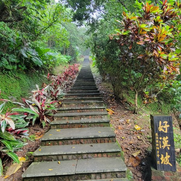 七星嶺步道2298754