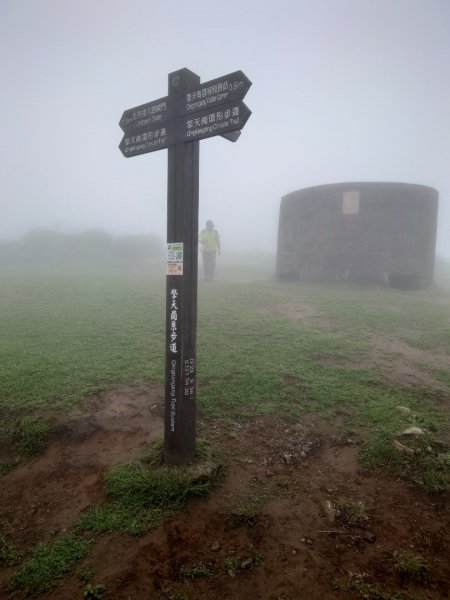 陽明山之擎天崗2207174