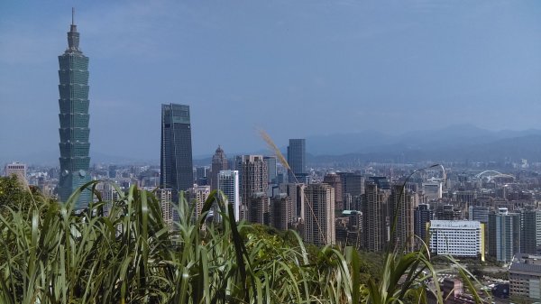 【臺北大縱走6】象山南港山縱走九五峰虎山942814
