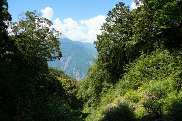 南橫三星 | 前緣再續。關山風月登庫哈諾辛、塔關山順訪中之關。1780130