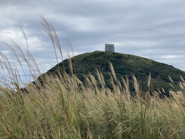 2023/11/29 清天宮 向天山 面天山 二子坪2392425