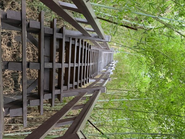 后里觀音山 鳳凰山2816255