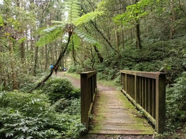 雙溪區石龜福德廟+坪溪古道+梗枋古道+叢雲山+叢雲山北峰+宜1縣縣界O型3019495