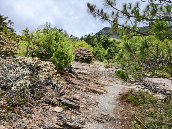 北一段(13/14)審馬陣山 2025_0906~132887536