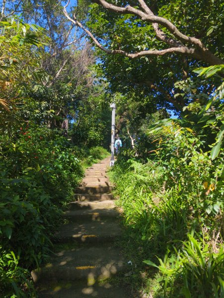 2026.01.25－微笑山線：【天上山系】烘爐地土地公段2994563