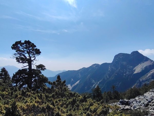 終於看到1000元背面的山景登頂玉山北峰／前峰2495970