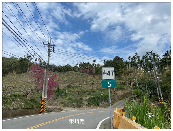 大堀底山 (穿霧隘勇線)3023643