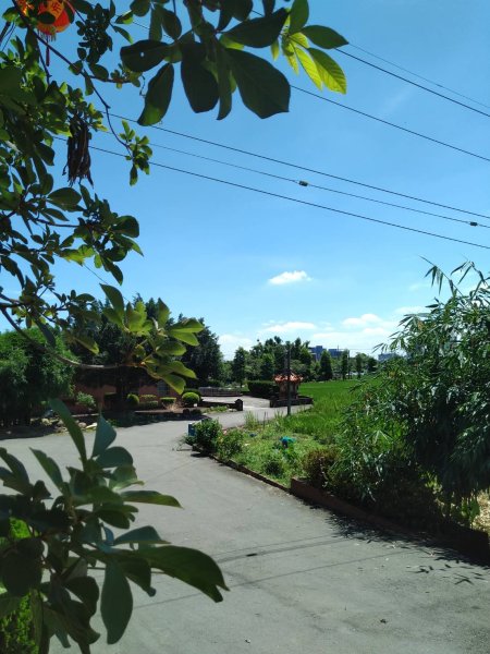 宵裡好風光－茄苳宵裡陽光單車之旅2817267