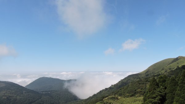 再見陽明山雲海1178729