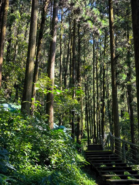 2025-09-14 奮起湖2887390