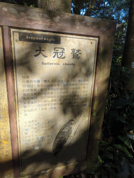 2025.11.15－鳴鳳古道2943002