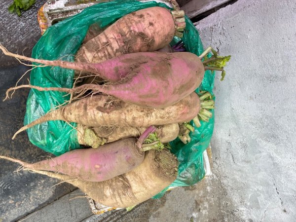 拉薩/布達拉宮-札達/古格王朝遺址皮央東嘎遺址-古寺廟2898459