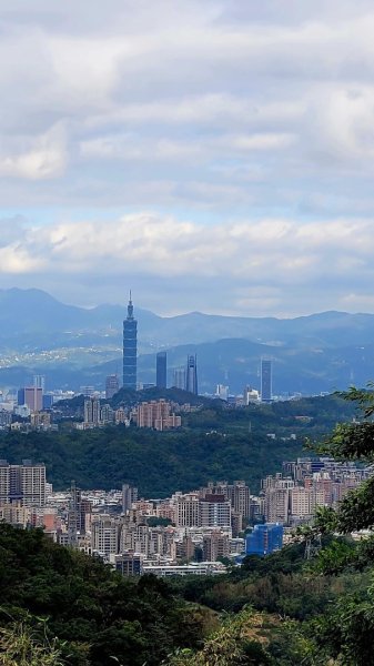 青潭越嶺政大-賞梅花🌸安坑🐦嘴四秀2691707
