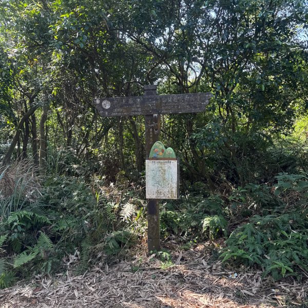 20260110 更寮古道(小百岳-土庫岳)2980775