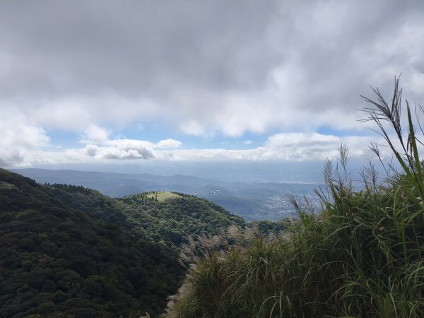 [百山百鳥尋旅-11/15] 2025_0927 大屯主峰-連峰步道_大屯山西峰2899473