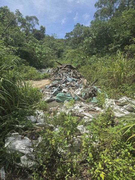 20260713跌死猴坑古道-瑞芳三小山3087599