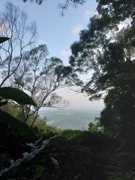 桃園石門山登山步道2208337