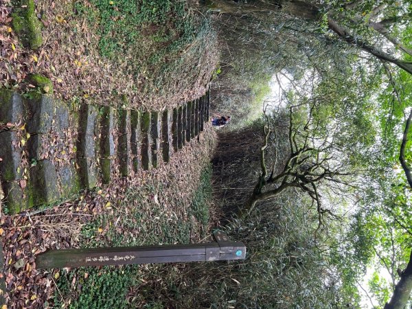 4/12台北大縱走第二段小油坑到二子坪2763644