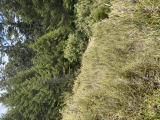 雪山西稜夢幻大景1392880