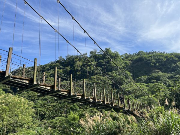 [阿龍尋寶任務]2023_0623_雲嘉大尖山、二尖山步道2204510