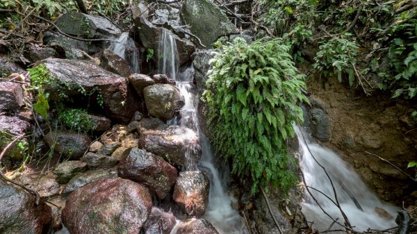 114.06.01溪山百年古圳-太平尾山+聖人崙之旅2801841