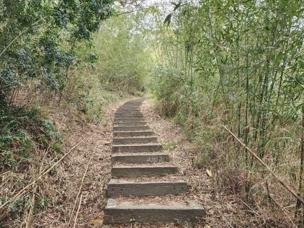苗栗三灣｜龍峎頂步道2973705