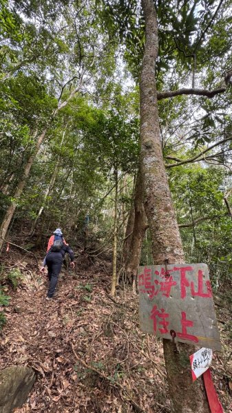 六龜警備道/茂林段/網子山～鳴海山2708199