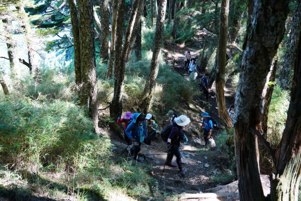 南橫三星 | 前緣再續。關山風月登庫哈諾辛、塔關山順訪中之關。1780112