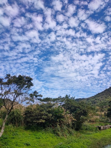 ［面天山］［向天山］［二子坪］的美麗雲彩2349123