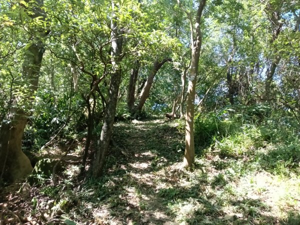 基隆市外西勢坑山+暖暖砲台+福基煤礦遺址O型2907990